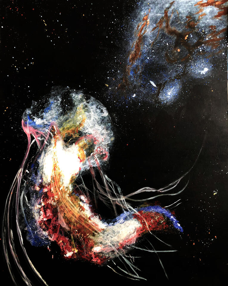 Jellyfish Galaxy Collage